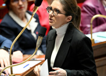 France accuses US diplomats of meddling with French companies through DEI 'diktat'