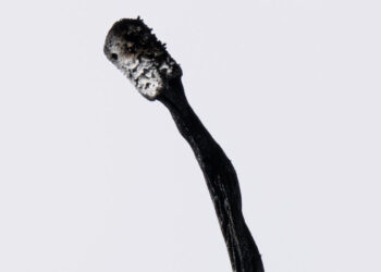 How Can I Avoid Burnout at Work?