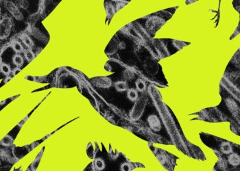 We’ve entered a forever war with bird flu