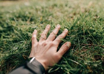 ‘Touch Grass’ App Is An Unconventional Way To Reconnect With Nature