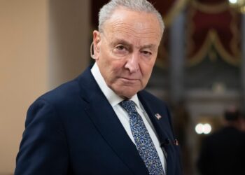 Chuck Schumer Claims Dems Have ‘Real Direction Now’ — Days After Party Cracks Were Revealed