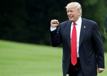 Trump Names New Head of Museum Agency He Moved to Dismantle Last Week