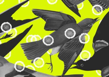 Capitalism vs. the bird flu