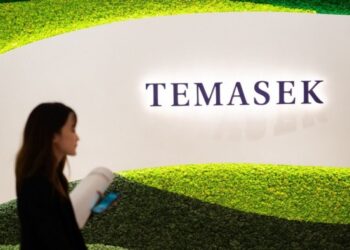 Temasek and Warburg Pincus seek up to $5bn for sale of healthcare company GHX