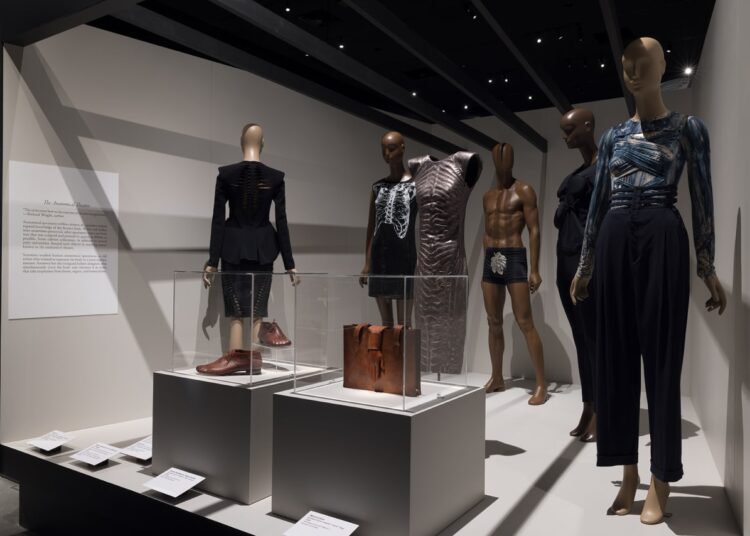 ‘Fashioning Wonder: A Cabinet of Curiosities’ Review: FIT’s Captivatingly Quirky Showcase