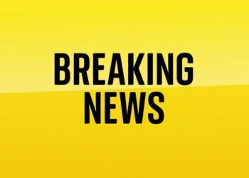 More than 30 countries sign up to coalition of willing – as PM says ‘significant force’ backing Ukraine | Politics News