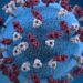 Measles cases in European region doubled last year to highest since 1997, say WHO and UNICEF | Science, Climate & Tech News
