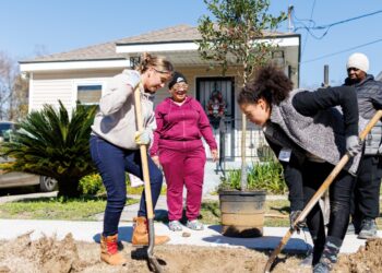 Trump administration DEI cuts hit nationwide tree planting effort : NPR