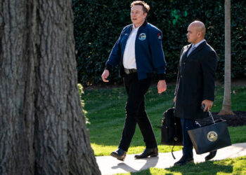 Elon Musk Calls Peter Navarro a ‘Moron’ in Escalating Tariff Fight