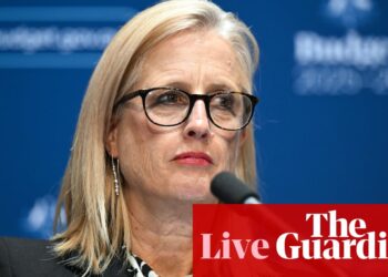 Australia election 2025 live: Labor pledges financial protections for domestic violence victim-survivors; Katter MP says potential Palm Island alcohol ban breach an ‘honest mistake’ | Australian election 2025