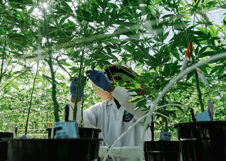 Sin taxes are suffering from a shortage of sinners