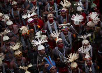 🌟The Bright Side: Brazil's Indigenous filmmakers showcase fight for rights