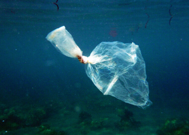 Microplastics have not yet earned their bad reputation