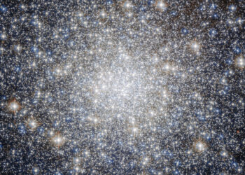 At the American Museum of Natural History, a Look to Outer Space