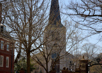 Harvard, Under Pressure, Revamps D.E.I. Office