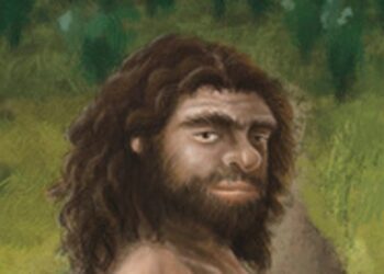 Ancient Jawbone In Taiwan Reveals Mystery Ancestors