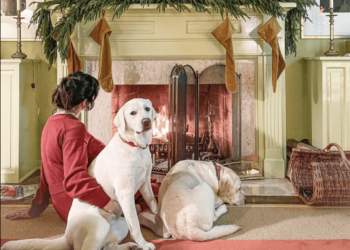 7 Holiday Planning Tasks to Do Right Now (So You Can Enjoy the Holiday Season) | Wit & Delight