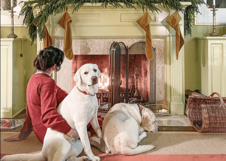 7 Holiday Planning Tasks to Do Right Now (So You Can Enjoy the Holiday Season) | Wit & Delight