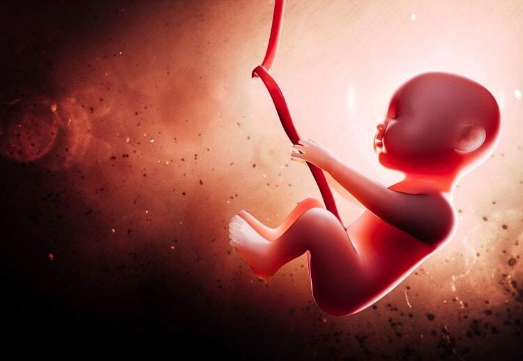 Shampoo, Soap, and… Brain Changes? Study Links Everyday Products to Infant Development Harm