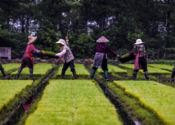 China says it can live without US farm and energy goods