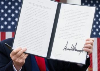 Donald Trump’s tariffs will fix a broken system