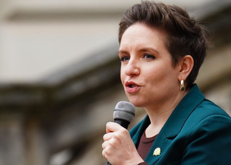 Green Party co-leader denies split over trans rights | Politics News