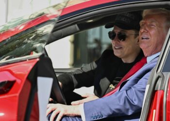 Elon Musk says his time working for Donald Trump’s administration will ‘drop significantly’ next month – as Tesla profits sink | US News