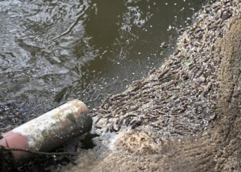 Public failed by water regulators and government as bills rise, spending watchdog says | Money News