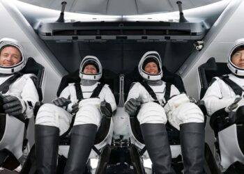 Bitcoin tycoon Chun Wang blasts off on polar SpaceX flight to achieve world first | Science, Climate & Tech News