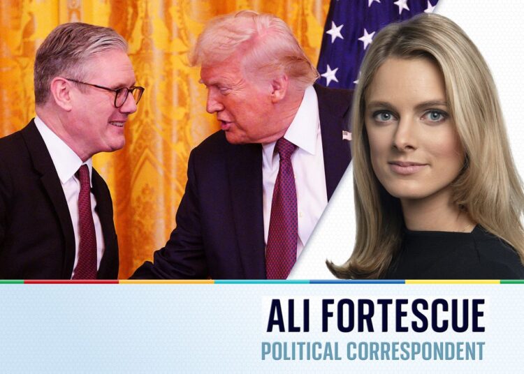 Trump’s tariffs will have an impact before too long – but how will the UK respond? | Politics News