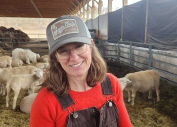 Lambing season is long, hard and life affirming : NPR