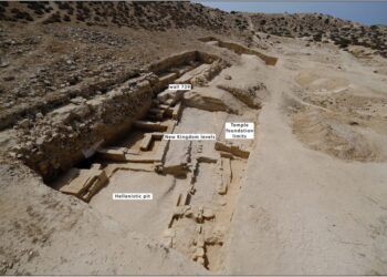 Archaeologists Find Ancient Town in Egypt Built by King Tut’s Father 