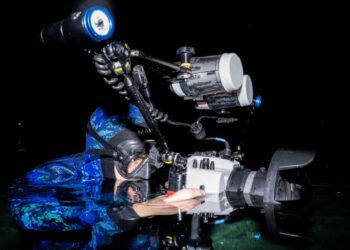 This wildlife filmmaker documents the unseen beauty of freshwater ecosystems