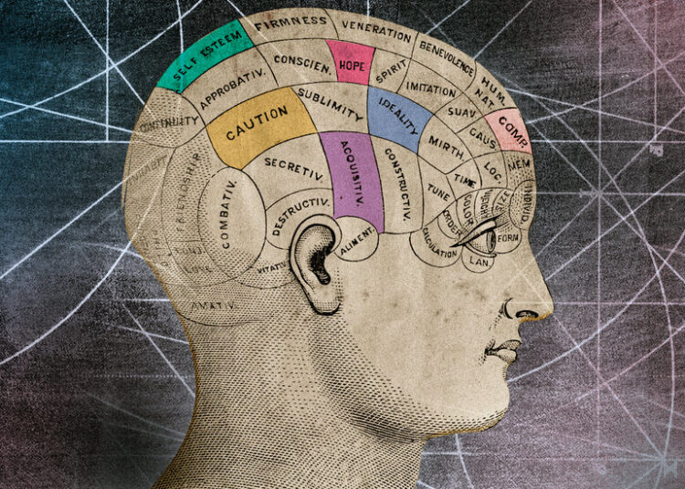Two Theories of Consciousness Faced Off. The Ref Took a Beating.