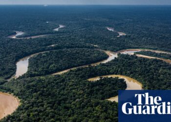 Brazilian tribe sues New York Times for allegedly portraying members as porn addicts | Brazil