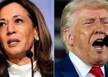 Kamala Harris Torches Trump Over ‘Reckless Tariffs’