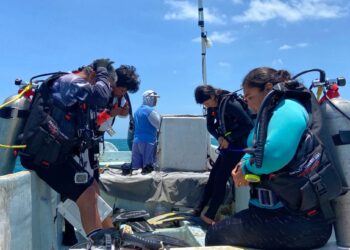 How Mexico’s Fishing Refuges Are Fighting Back Against Poaching