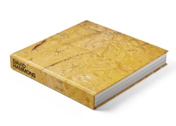 A New David Hammons Book Will Challenge You, Scold You, Flirt with You