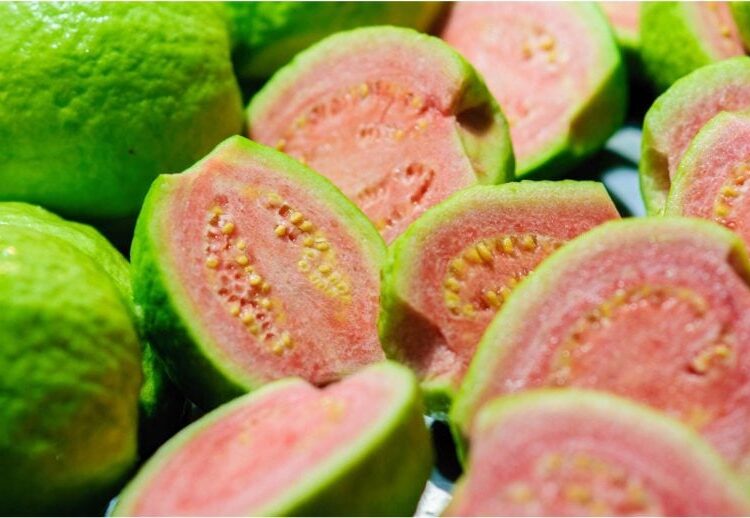 According to Scientists, These Bioactive Plants Have Anti-Cancer Properties