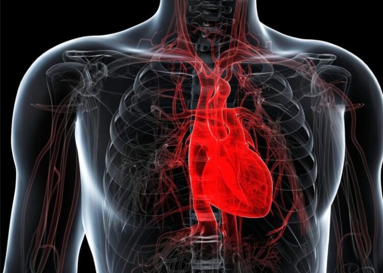 Your Heart May Be Aging Faster Than You Realize – Are You at Risk?