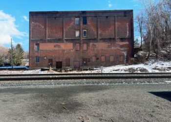 Dan Colen’s Sky High Farm Launches New Fundraising Biennial Exhibition