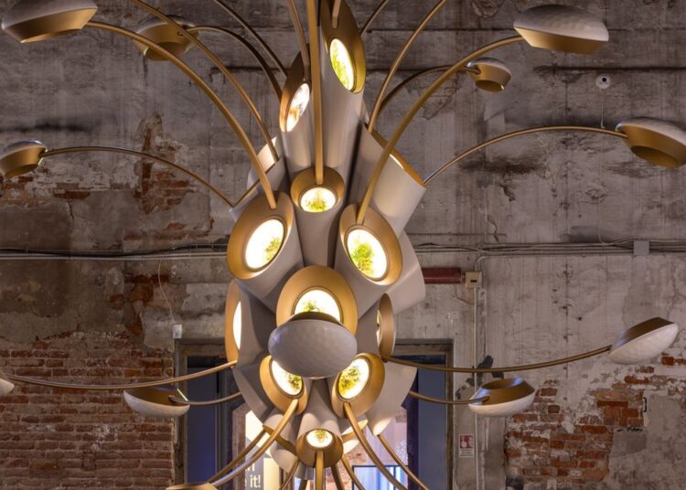 The Plan to Send Plant-Filled ‘Gardens’ Into Orbit