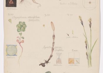 Curator Jodi Hoptman on Never-Before-Seen Hilma af Klint Drawings