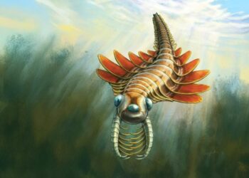 Three-Eyed “Sea-Moth” Predator From 506 Million Years Ago Stuns Scientists