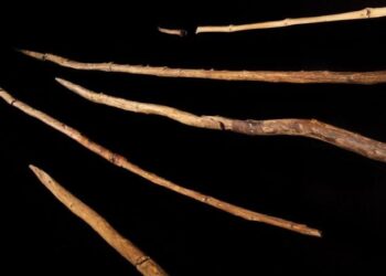 World-Famous Schöningen Spears Are 100,000 Years Younger Than Scientists Thought