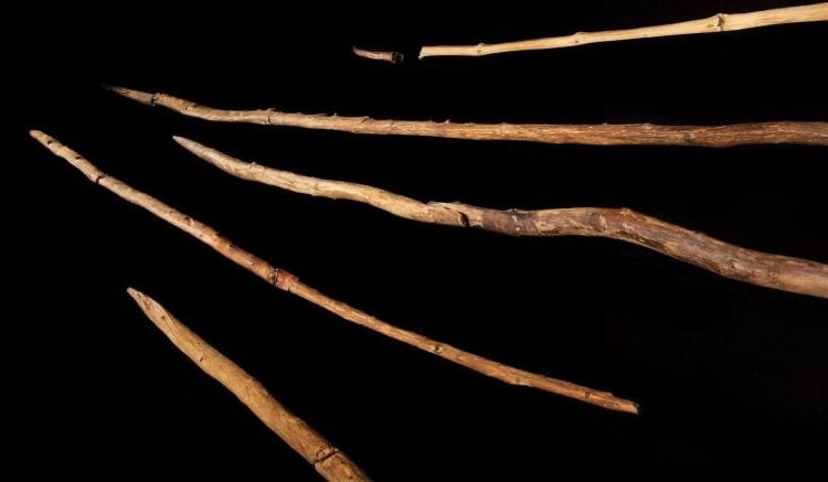 World-Famous Schöningen Spears Are 100,000 Years Younger Than Scientists Thought