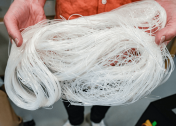 Researchers Develop New Glue for Conserving Historical Paintings