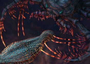 Nervy human teeth arose from ancient armored fish scales : NPR