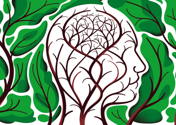 Researchers are questioning if ADHD should be seen as a disorder