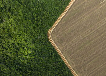 Deforestation is costing Brazilian farmers millions